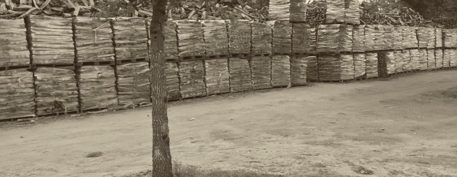 The Chief Firewood seasoning yard in Smithville, Texas