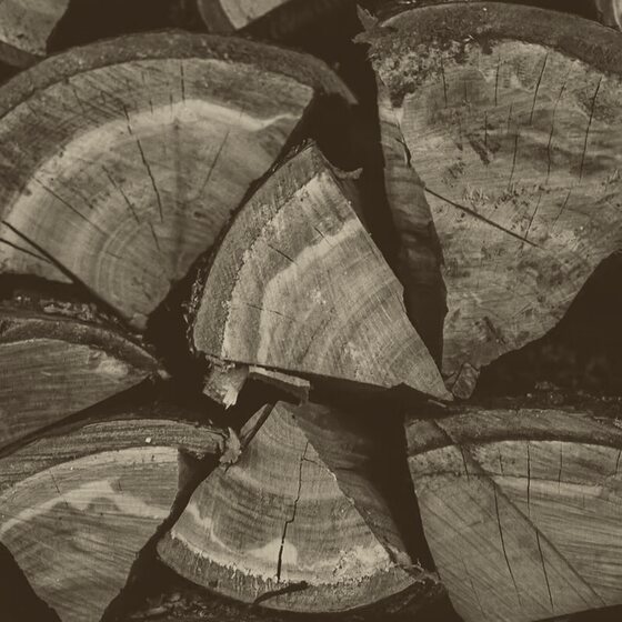 Hickory and Fruitwood cooking wood